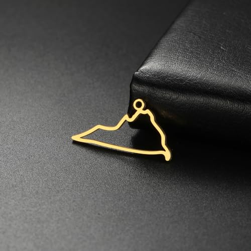 kkjoy 5Pcs Hollow Continents Maps of USA Pendant Charms for Jewelry Making and Crafting, Stainless Steel Mini Charm Craft Supplies Accessories for DIY Bracelet Necklace Earrings - color: Hollow Virginia Map - Gold