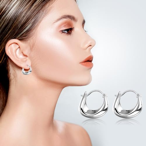 6 Pairs Gold Hoop Earrings Set for Women, 14K Gold Plated Huggie Chunky Earring Variety Pack, Hypoallergenic Thick Jewelry Gift - color: Silver Color