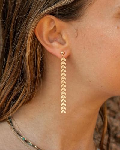 Dangle Earrings for Women - 14K Gold/White Gold/Rose Gold Plated Butterfly Heart Star Hoop Chain Long Tassel Cubic Zirconia CZ Dangle Earrings - color: Wheat