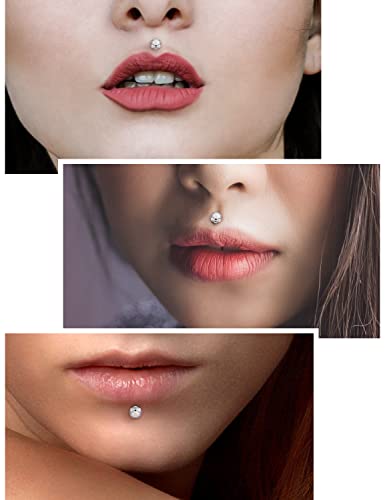 14G Lip Rings Stainless Steel Tragus Helix Conch Piercing Jewelry Snake Bite Piercing Monroe Lip Rings Labret Medusa Cartilage Lobe Earrings Studs Piercing Jewelry 6MM 8MM 10MM Silver 18PCS - color: 14G-4MM
