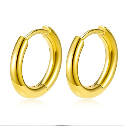 Titanium Huggie Hoop Earrings Hypoallergenic Nickel Free Hinged Sleeper Earrings for Sensitive Skin Cartilage Helix Lobes - style: Huggie 10mm gold