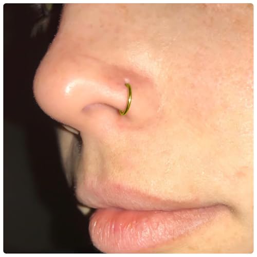20G 18G 16G Threadless Lip Labret Medusa Monroe Nose Piercing Jewelry Surgical Steel Snake Bites Lip Rings Flat Back Push in Cartilage Tragus Helix Conch Earring Stud 6mm 8mm 10mm Bars - color: Gold-16G（1.2mm) - Bars:6mm - Hinged Clicker Rings:8mm 10mm