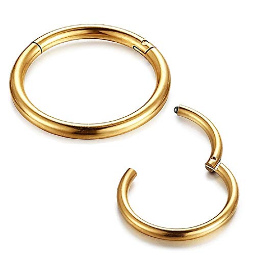 8Pcs Stainless Steel 16G Sleeper Tiny Small Hoop Earrings Hinged Clicker Ring for Women Men Jewelry 8mm 10mm Set Gold-tone