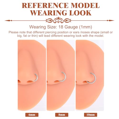 3Pcs Nose Rings Hoops for Women Men, 18G Nose Hoops Gold/Silver | Hinged Clicker Septum Rings Tragus Conch Helix Daith Lip Body Piercing Jewelry 6/8/10mm - color: 3pcs/silver/18g