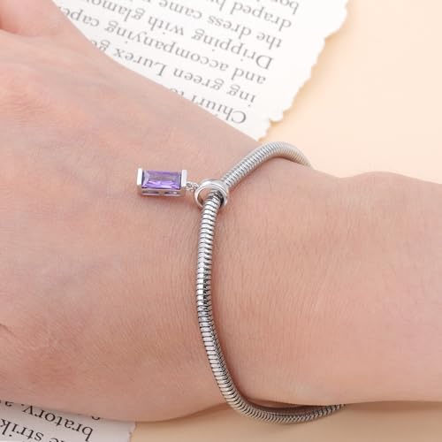 Helonley Birthstone Charms for Charms Bracelet: Birth Stone Charms | 925 Sterling Silver Birth Stone Bead Charms for Bracelets and Necklaces, Christmas Birthday Gifts for Mom and Wife - color: Feb.