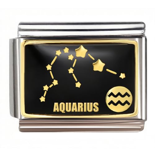 Italian Charm Bracelet Link, 12 Zodiac Constellation, 9mm, Sign Charm - color: Aquarius (1.20 ~ 2.18)