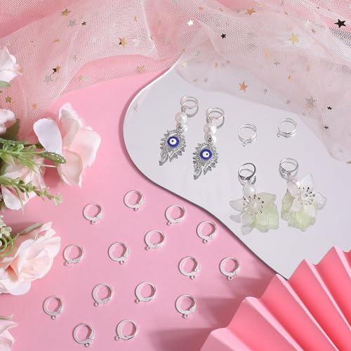 SUNNYCLUE 1 Box 80Pcs Huggie Hoops Round Leverback Earring Hooks Stainless Steel Lever Backs Silver Hinged Huggie Hoops with Loops Earwires Leverbacks Ear Wires for Jewelry Making Earrings Findings - color: 80pcs Stainless Steel Round Leverbacks-Silver To
