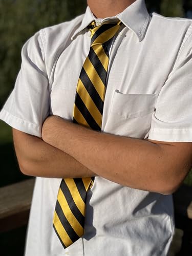 tiemart Men's Striped Tie Standard Length - color: Black and Gold