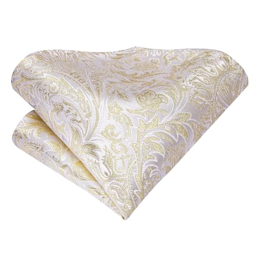 Dubulle Mens Paisley Striped Tie Woven Necktie for Men and Handkerchief Cufflinks Set Wedding Formal Business - color: C Light Sparkles