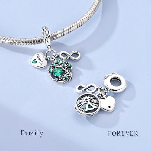 Hapour 925 Sterling Silver Charms for Bracelet Necklace Dangle Pendant Bead | Bear Charm, Elephant Zebra Cat Dream catcher Family Birthday European Jewelry Charm, For Women Mom - color: Green Eternal Love Family Tree