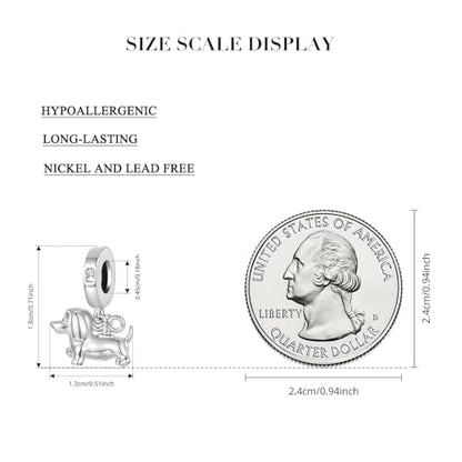 BISAER 925 Sterling Silver Charms for Bracelets Cat Dog Sloth Animal Beads Butterfly Fairy Heart Dangle Pendant Charms - color: Dachshund