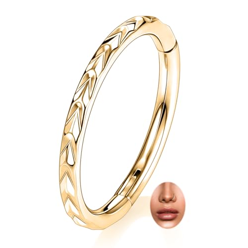 PEAKLINK 16G Arrow Nose Hoop Ring Conch Helix Cartilage Earring Hinged Segment Seamless Clicker Ring Surgical Steel Septum Jewelry Rook Daith Lip Tragus Piercing Jewelry for Women Men - color: Side Arrow,Gold
