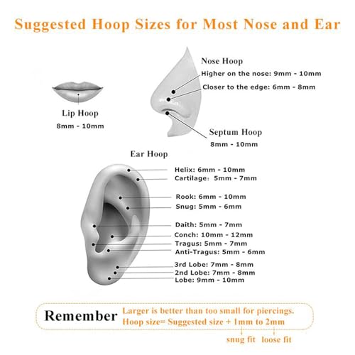 MissNity 316L Surgical Steel Hinged Nose Rings Hoop 20G 18G 16G 14G, Diameter 6mm to 10mm, Color Gold - Rose Gold - Silver - Black - Rainbow - color: A02: silver - 2pcs