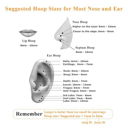 MissNity 316L Surgical Steel Hinged Nose Rings Hoop 20G 18G 16G 14G, Diameter 6mm to 10mm, Color Gold - Rose Gold - Silver - Black - Rainbow - color: A02: silver - 2pcs