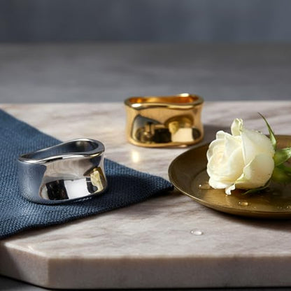2 Pcs Silk Scarf Ring Scarves Shawl Clip Oblate Minimalist Metal Scarf Slide Buckle Brooches Clothing Accessories for Women Shawls and Scarves Gold Silver