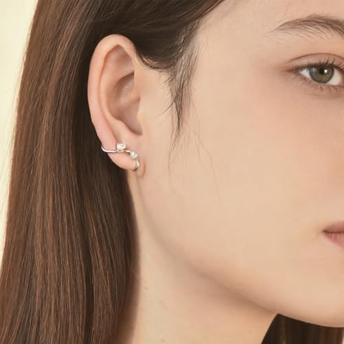 EPIRORA Earrings for Women Trendy, Dainty Geometric S-Shape Cubic Zirconia Stud Earrings for Women Hypoallergenic, Unique Jewelry Gift for Her on Valentine's Day, Birthday, Party - Silver & Gold - style: Silver