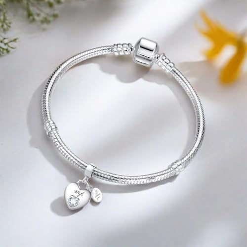 TCHYUN Family Series Dangle Charm Heart Birthstone Bead for Pandora Bracelet Women Gift - style: Wife