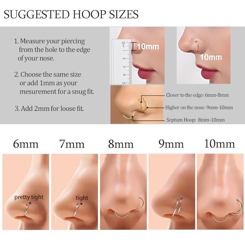 2Pcs Titanium Nose Rings 20G 18G 16G 14G Nose Rings Hoops Diameter 5mm to 12mm Silver-Gold-Rose Gold-Black Cartilage Helix Tragus Daith Rook Hoop Earrings Hinged Segment Septum Clicker Body Piercing Jewelry - color: Rose Gold