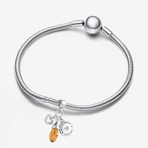 GMXLin Birthstone Birthday Charms Teardrop Love Heart Dangle Bead Compatible With Pandora Charms Bracelets - style: November Birthstone