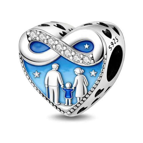 925 Sterling Silver Charms for Bracelets and Necklaces Beads Charms Jewelry Gift for Women - color: A Happy Family