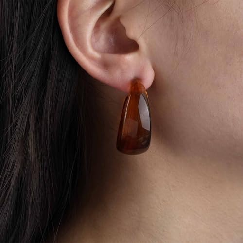 Punk Turquoise Hoop Earring Chunky Acrylic Hoop Earrings Blue Turquoise Circle Earring Acrylic Resin Hoops Earrings Wide C Shape Western Statement Jewelry for Women - color: Brown