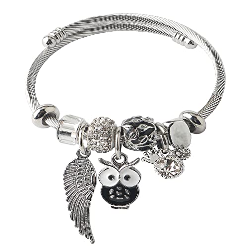DS Charm Bracelets for girls,exquisite cute cartoon friendship bracelets Silver Stainless Steel Bangle with birthday Gift box, Adjustable girls jewelry Suitable for holiday gifts - style: Silver-owl