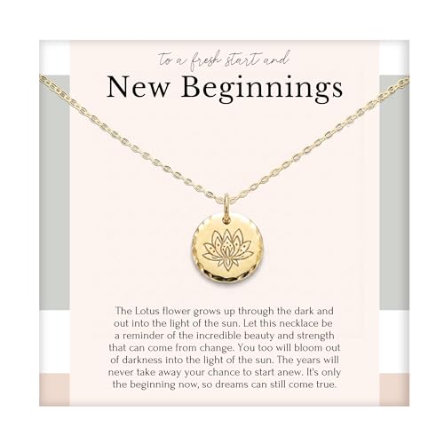 HOPE LOVE SHINE Women's New Beginnings Necklace - 14k Gold Plated Sterling Silver, Healing & Recovery Gift, Adjustable 16+2" Chain - color: 14K GOLD VERMEIL, style: a. NEW BEGINNINGS
