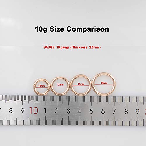 316L Surgical Steel Hypoallergenic Hinged Nose Ring Hoop for Women & Men | Seamless Clasp, Used in Nostril, septum, lip, and all ear piercings. 20 Gauge to 6 Gauge, Inner Diameter 5mm to 22mm - color: 18k rose gold-plated, size: 10 Gauge 16mm
