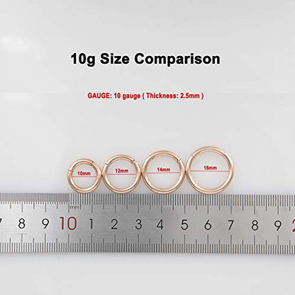 316L Surgical Steel Hypoallergenic Hinged Nose Ring Hoop for Women & Men | Seamless Clasp, Used in Nostril, septum, lip, and all ear piercings. 20 Gauge to 6 Gauge, Inner Diameter 5mm to 22mm - color: 18k rose gold-plated, size: 10 Gauge 16mm