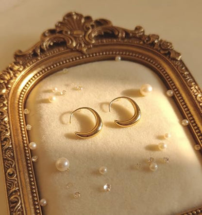 Earrings for Women, Saguine Chunky 14K Gold Plated Hoop Earrings Trendy | Chunky Earring, Big Large U-Shape Drop Twist Dangle Statement Stud Hoops Earrings, Jewelry for Women Gifts - style: Drop