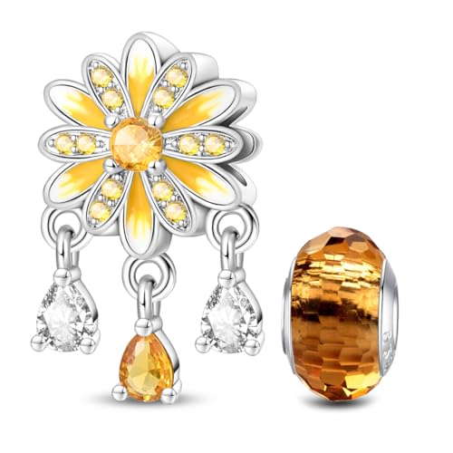 HappyStar 925 Sterling Silver Animal Dogs Charms Pendants fit Pandora Bracelets Necklaces Flowers Sports Travel Charms for Bracelets Women Jrwelry Gifts(with one Spacer Bead Charms) - style: Chrysanthemum beads