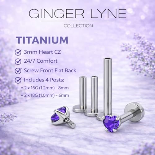 Titanium Heart CZ Labret Stud Earrings for Piercings by Ginger Lyne 6Pc Set G23 Screw Front Flat Back Body Jewelry 2 pair post 6mm, 8mm Cartilage, Helix, Tragus, Lip, Conch, Lobe - color: 3mm-DKPurple