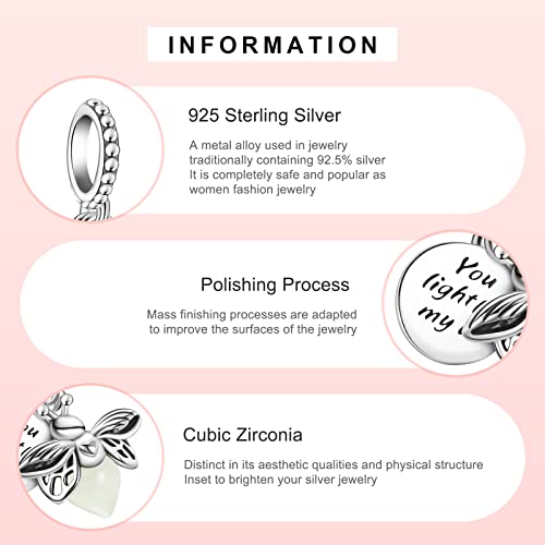 MITSOKU 925 Sterling Silver Charms for Bracelets Necklaces Animal prototype Pendant Safety Chain Dangle Pendants Beads Christmas Day Charms Jewelry Gift for Women - style: Glow in the Dark
