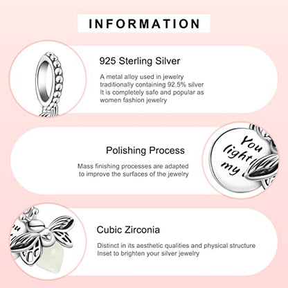 MITSOKU 925 Sterling Silver Charms for Bracelets Necklaces Animal prototype Pendant Safety Chain Dangle Pendants Beads Christmas Day Charms Jewelry Gift for Women - style: Glow in the Dark