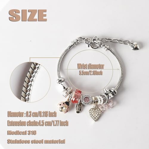 DS Charm Bracelets for Girls Adjustable Silver Stainless Steel Gift Box | Cute Cartoon Charms,Friendship Jewelry,Birthday Gifts,Teen Kid Fit, Tarnish Resistant,Stackable Trendy Daily Wear - style: Silver-beetle