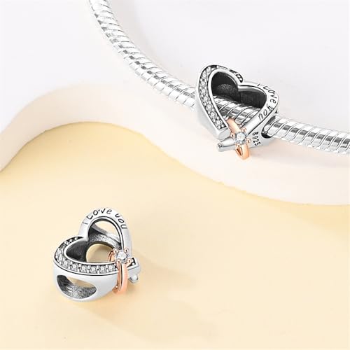 Charm for Bracelets and Necklaces, Heart Animals 925 Sterling Silver Bead Celestial Sun Moon Star Charms Jewelry Gift for Women Girls - color: Heart and Ring Charms