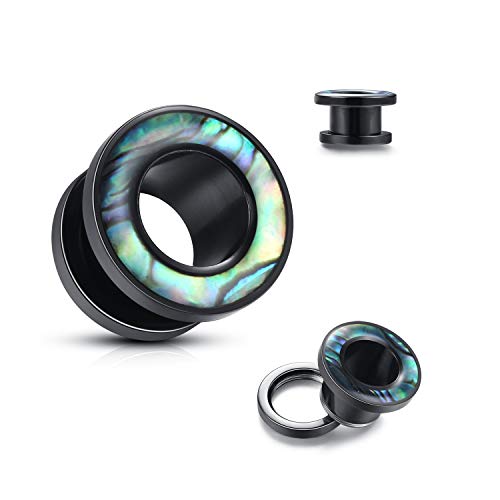 WBRWP 2pcs Hollow Gold Stainless Steel with Zircon Ear Plugs Tunnels - Ear Expander - Ear Gauges Stretcher Body Piercing Jewelry 8g-5/8 - color: Black Steel with Seashell