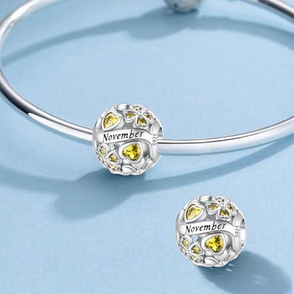 HappyStar 925 Sterling Silver Four Leaf Clover Bead Charm with Cubic Zirconia Birthstone Charms for Bracelets Dangle Pendant Compatible Pandora Bracelets Lucky Charm Birthday Gift - color: 92-November Birthstone Bead