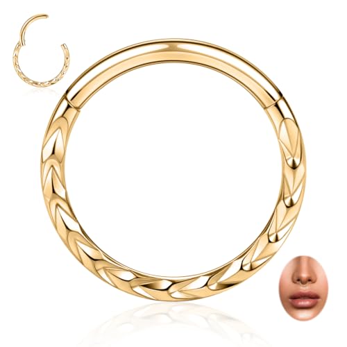 PEAKLINK 16G Arrow Nose Hoop Ring Conch Helix Cartilage Earring Hinged Segment Seamless Clicker Ring Surgical Steel Septum Jewelry Rook Daith Lip Tragus Piercing Jewelry for Women Men - color: Front Arrow,Gold