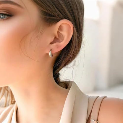 Chunky Small Hoop Earrings for Women 14mm/16mm/19mm Stainless Steel Huggie Earrings Everyday Jewelry Gift for Wife Mom, with Gift Box - color: Silver 14mm