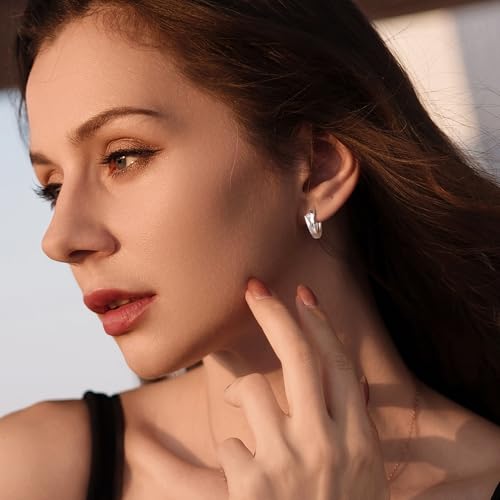 ALEXCRAFT 14K Goldplated Zirconia Hoop Earrings for Women, Hypoallergen Small Tiny Silver Sleeper Cartilage Twist Huggie Hoop Earrings With Ball Zirconia Shiny Simple Elegant Jewelry for Women - color: SilverA