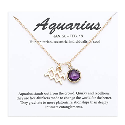 14k Gold Plated Zodiac Birthstone Crystal Pendant Necklace, Horoscope Sign Charm Necklace for Women Birthday Gift - color: Aquarius-Feb.