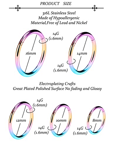 Vsnnsns 14G 16G Septum Nose Rings Hoops Lip Ring Piercing Jewelry 316L Surgical Steel Hinged Segment Clicker Cartilage Tragus Helix Conch Rook Daith Lobe Earrings Hoops Piercing Jewelry for Women Men - color: 14G-Rainbow