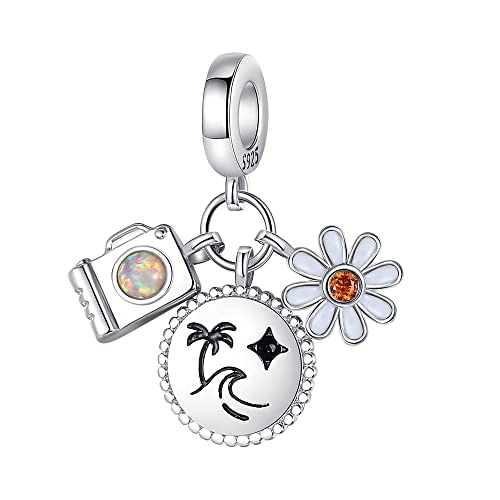Pandach 925 Sterling Silver Charms Beads for Bracelets and Necklaces Butterfly and Headphones Pendants Clover Charms Jewelry Gift for Women - style: Travel Camera Flowers Charm