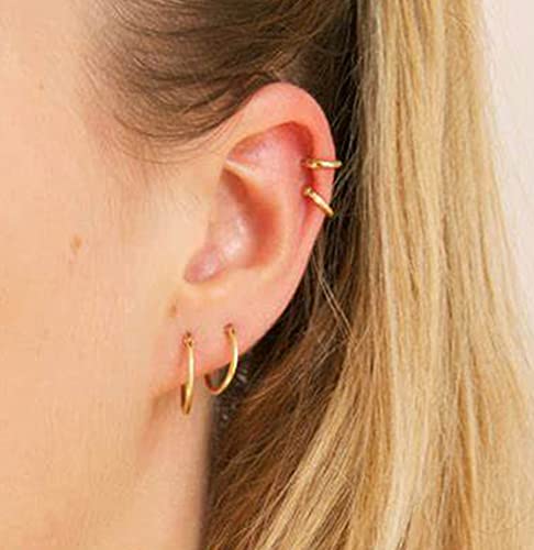 QWALIT Fake Nose Ring Fake Lip Piercing Fake Lip Ring Fake Nose Ring Hoop Fake Snake Bites Fake Lip Piercings Faux Lip Rings Fake Nose Piercing Clip on Nose Ring Spring - color: A4-spring + basic- gold