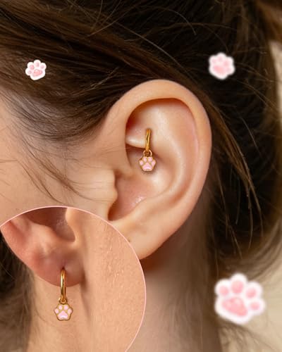 18K Gold Plated Rook Piercing Jewelry, 16G Clicker Rook Helix Earrings, Cute Cat Paw Upper Helix Lobe Piercing Stainless Steel 6/8MM - color: Style-1-6mm