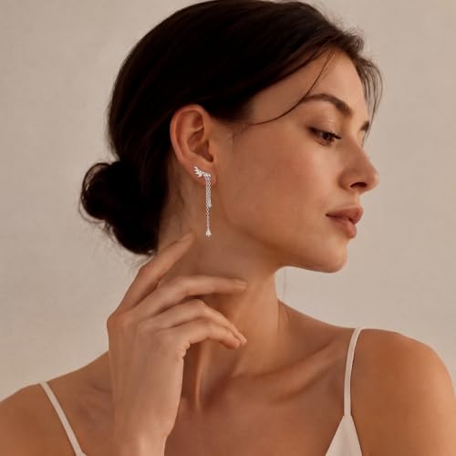 Ear Climber Earrings for Women, 14K Gold Plated/Silver Plated | Crawler Earrings Pierced with Cubic Zirconia, Hypoallergenic Cluster Stud Tragus Conch Daith Cartilage Jewelry Gift for Daily - color: Silver-1