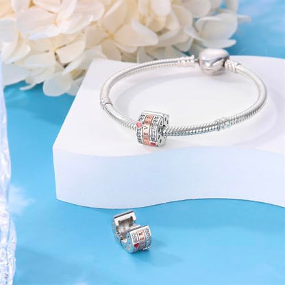 925 Sterling Silver Stopper Clip Charms for Bracelet Necklace Spacer Beads with 5A Cubic Zirconia Mother's Day Christmas DIY Gift for Women(2PCS) - style: Forever