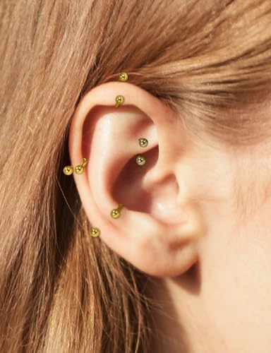 16G 316L Surgical Steel Horseshoe Septum Rings, 6/8/10/12 External Thread with Balls & Tool (17PCS) Nose Cartilage Lip Jewelry - color: Gold Plated Horseshoe Ring 6-12mm