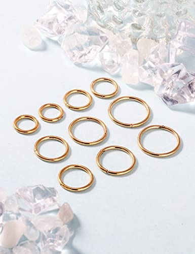 Vsnnsns 14G 16G Septum Nose Rings Hoops Lip Ring Piercing Jewelry 316L Surgical Steel Hinged Segment Clicker Cartilage Tragus Helix Conch Rook Daith Lobe Earrings Hoops Piercing Jewelry for Women Men - color: 16G-Gold